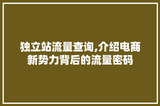 独立站流量查询,介绍电商新势力背后的流量密码