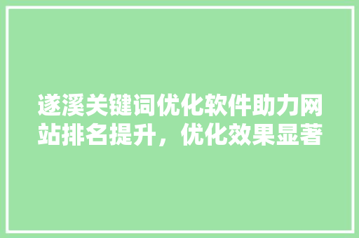 遂溪关键词优化软件助力网站排名提升，优化效果显著