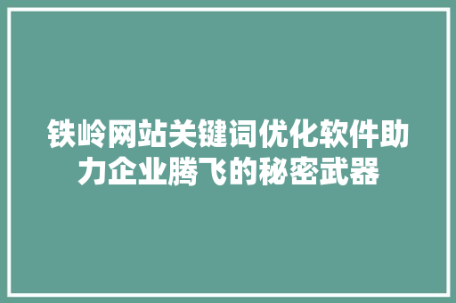 铁岭网站关键词优化软件助力企业腾飞的秘密武器