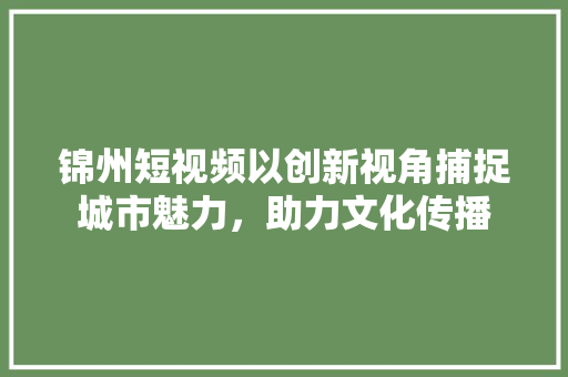 锦州短视频以创新视角捕捉城市魅力，助力文化传播