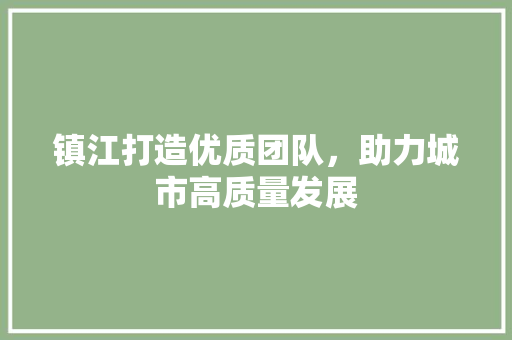 镇江打造优质团队，助力城市高质量发展