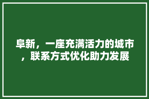 阜新，一座充满活力的城市，联系方式优化助力发展
