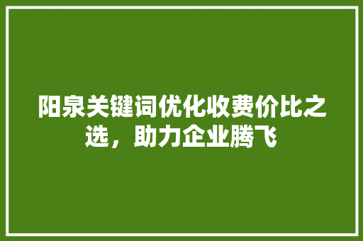 阳泉关键词优化收费价比之选，助力企业腾飞