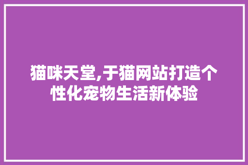 猫咪天堂,于猫网站打造个性化宠物生活新体验