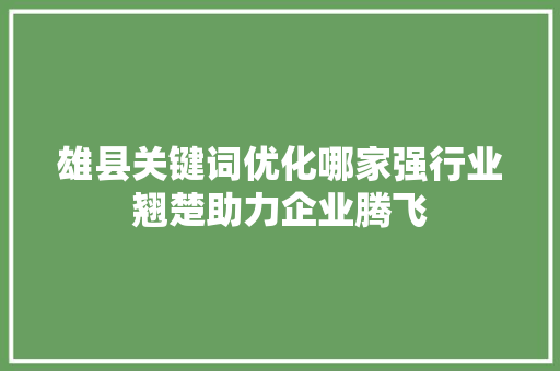 雄县关键词优化哪家强行业翘楚助力企业腾飞 百度算法