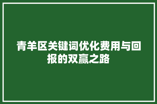 青羊区关键词优化费用与回报的双赢之路
