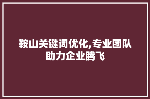 鞍山关键词优化,专业团队助力企业腾飞