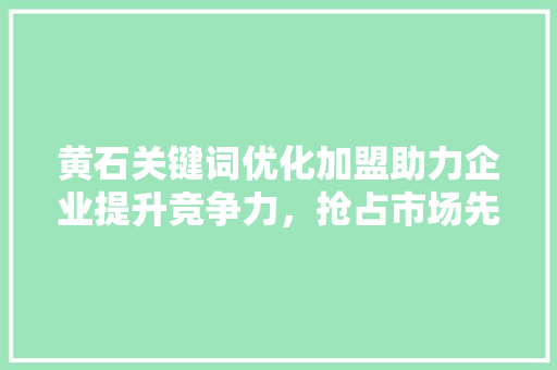 黄石关键词优化加盟助力企业提升竞争力，抢占市场先机