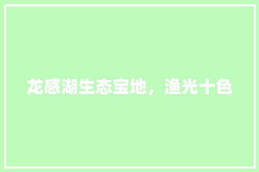 龙感湖生态宝地，渔光十色