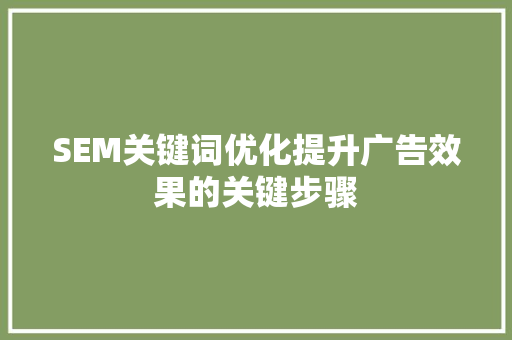 SEM关键词优化提升广告效果的关键步骤