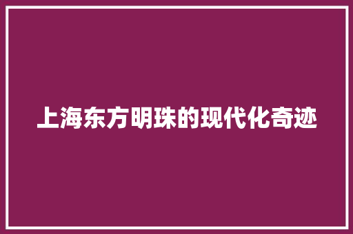 上海东方明珠的现代化奇迹