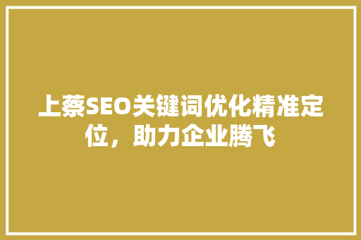 上蔡SEO关键词优化精准定位，助力企业腾飞