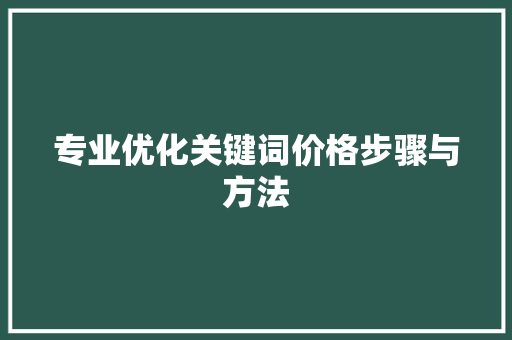 专业优化关键词价格步骤与方法
