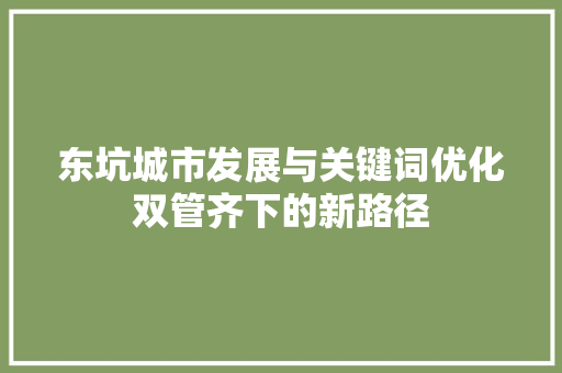 东坑城市发展与关键词优化双管齐下的新路径