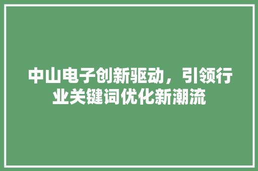 中山电子创新驱动，引领行业关键词优化新潮流