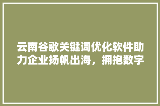 云南谷歌关键词优化软件助力企业扬帆出海，拥抱数字时代