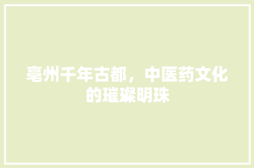 亳州千年古都，中医药文化的璀璨明珠 英文谷歌算法