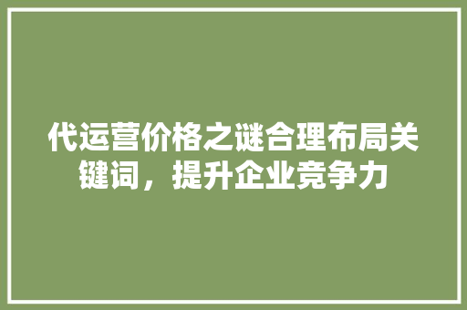 代运营价格之谜合理布局关键词，提升企业竞争力