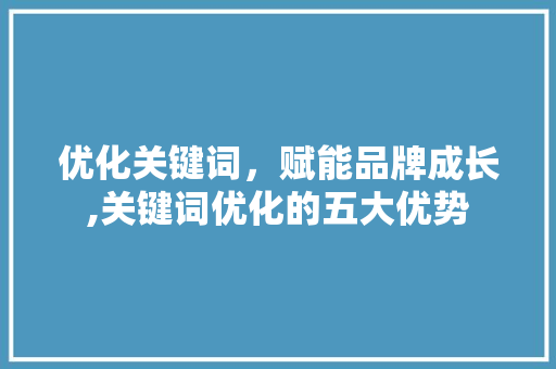 优化关键词，赋能品牌成长,关键词优化的五大优势 seo技术