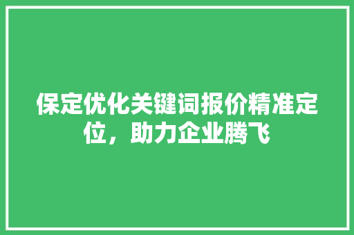 保定优化关键词报价精准定位，助力企业腾飞