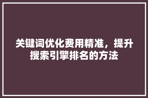 关键词优化费用精准，提升搜索引擎排名的方法 seo技术