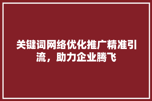 关键词网络优化推广精准引流，助力企业腾飞 网站开发