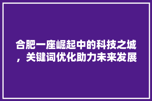 合肥一座崛起中的科技之城，关键词优化助力未来发展