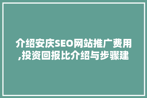 介绍安庆SEO网站推广费用,投资回报比介绍与步骤建议
