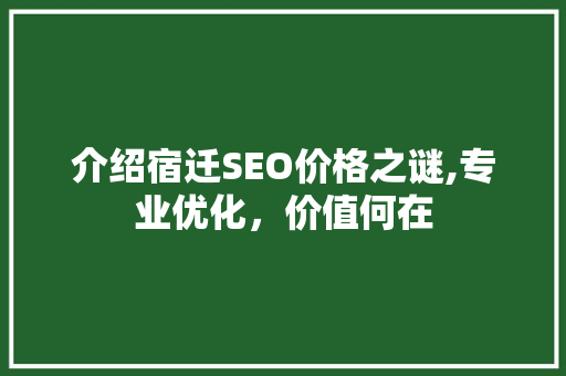 介绍宿迁SEO价格之谜,专业优化，价值何在