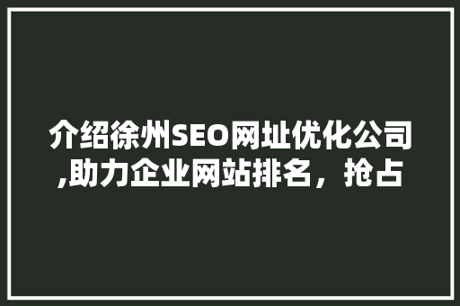 介绍徐州SEO网址优化公司,助力企业网站排名，抢占网络市场先机