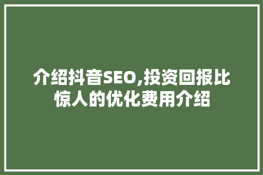 介绍抖音SEO,投资回报比惊人的优化费用介绍