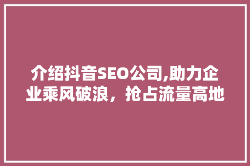 介绍抖音SEO公司,助力企业乘风破浪，抢占流量高地