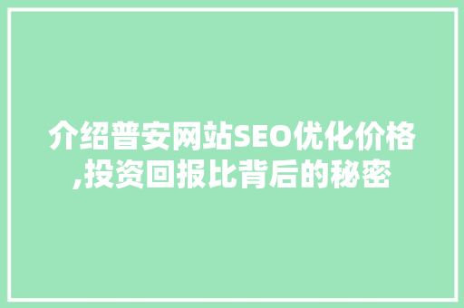 介绍普安网站SEO优化价格,投资回报比背后的秘密