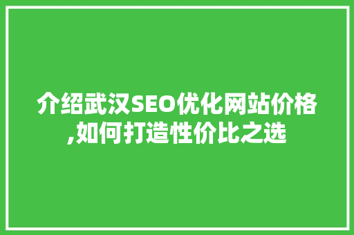 介绍武汉SEO优化网站价格,如何打造性价比之选 网站优化