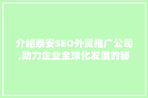 介绍泰安SEO外贸推广公司,助力企业全球化发展的秘密武器