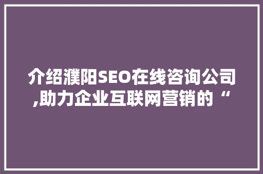 介绍濮阳SEO在线咨询公司,助力企业互联网营销的“秘密武器”
