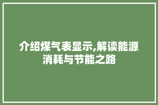 介绍煤气表显示,解读能源消耗与节能之路 网站优化