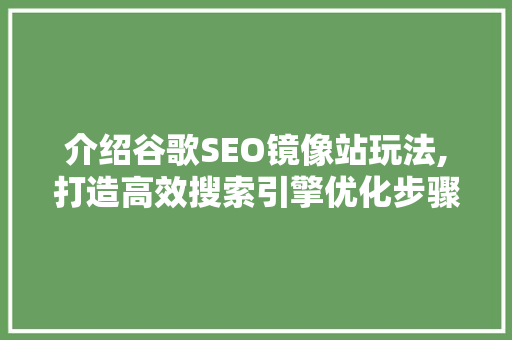 介绍谷歌SEO镜像站玩法,打造高效搜索引擎优化步骤