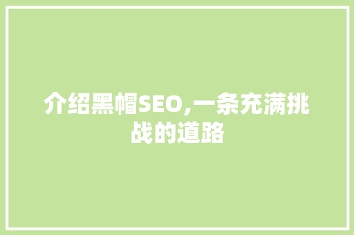 介绍黑帽SEO,一条充满挑战的道路 AI技术学习