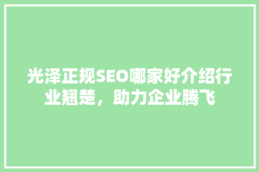 光泽正规SEO哪家好介绍行业翘楚，助力企业腾飞