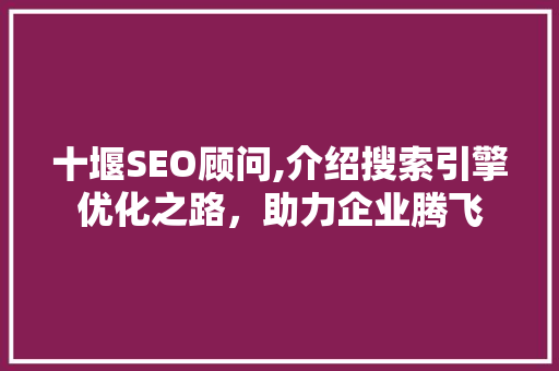 十堰SEO顾问,介绍搜索引擎优化之路，助力企业腾飞