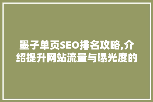 墨子单页SEO排名攻略,介绍提升网站流量与曝光度的方法