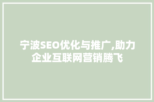 宁波SEO优化与推广,助力企业互联网营销腾飞