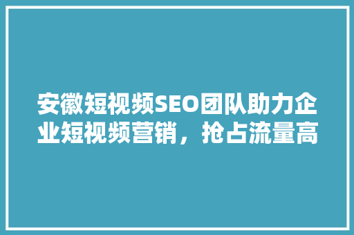 安徽短视频SEO团队助力企业短视频营销，抢占流量高地