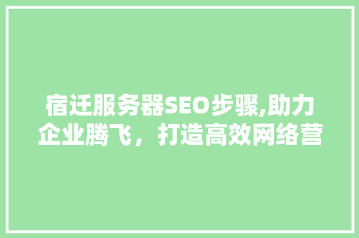宿迁服务器SEO步骤,助力企业腾飞，打造高效网络营销
