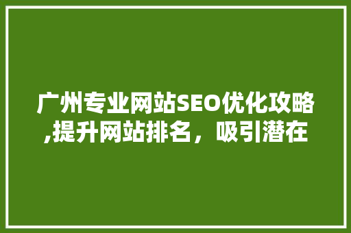 广州专业网站SEO优化攻略,提升网站排名，吸引潜在客户 网站开发