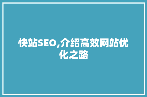 快站SEO,介绍高效网站优化之路 网站优化