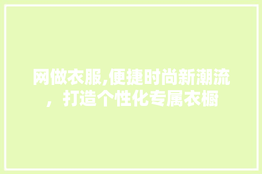 网做衣服,便捷时尚新潮流，打造个性化专属衣橱