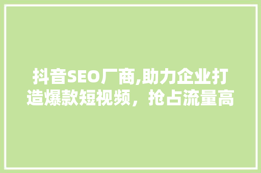 抖音SEO厂商,助力企业打造爆款短视频，抢占流量高地