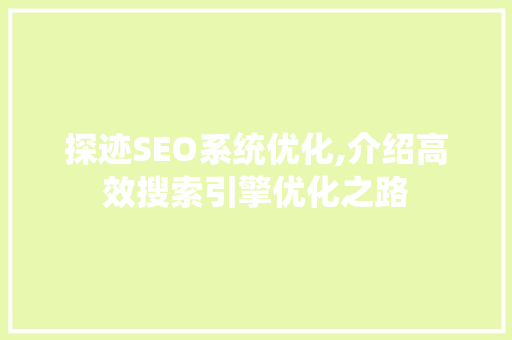 探迹SEO系统优化,介绍高效搜索引擎优化之路